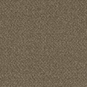 Sp251 - Mocha Beige Swatch