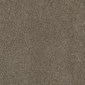 Copper Top Zoomed Swatch
