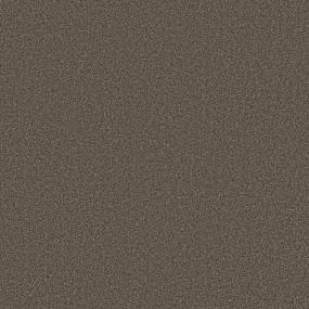 Chestnut Swatch Thumbnail