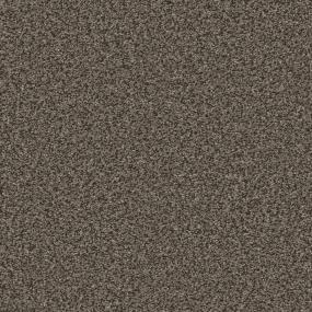 Sable Zoomed Swatch