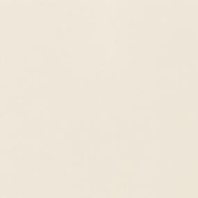 Matte Biscuit Matte Zoomed Swatch