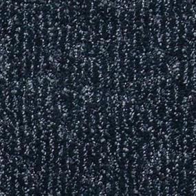 Piccadilly Zoomed Swatch