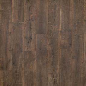 Euriha Disk - Coffee Swatch