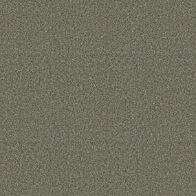 Pacifico Swatch