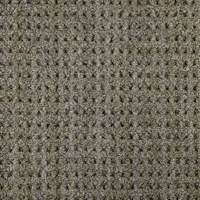 Buffel Grass Swatch Thumbnail