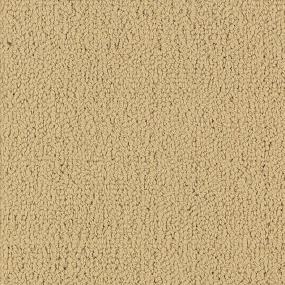 Gaucho Zoomed Swatch