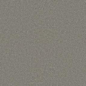 Sp251 - Silver Birch Swatch