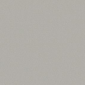 Silver Birch Swatch Thumbnail