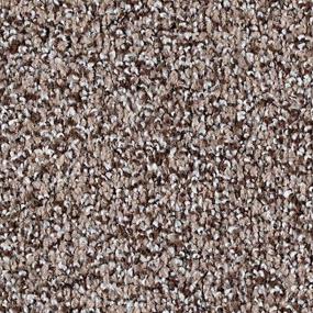 Calm Retreat - Turnstone Swatch