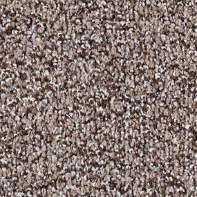 Turnstone Zoomed Swatch