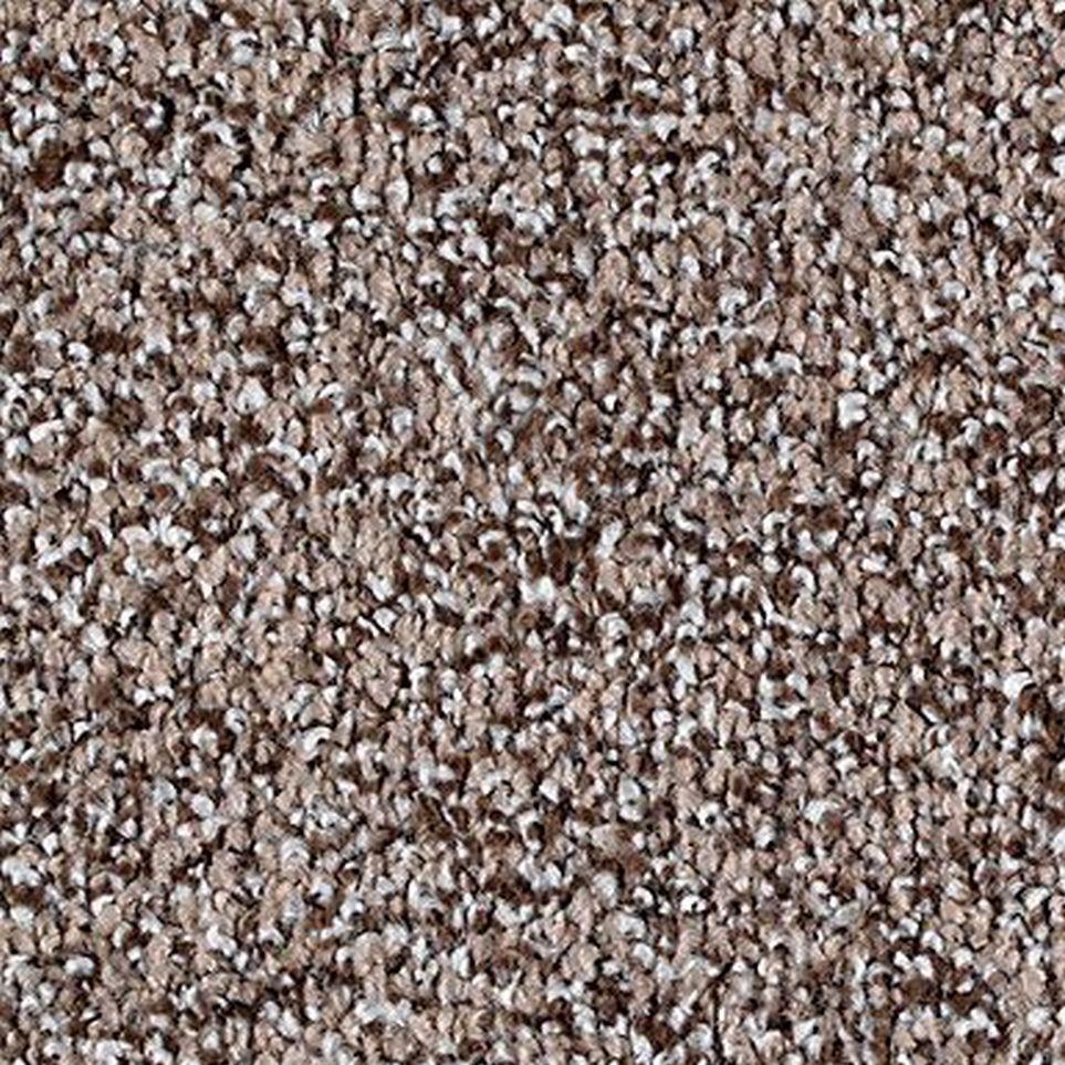 Turnstone Zoomed Swatch
