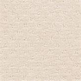 Salzburg - Raptor Swatch