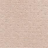Salzburg - Graceville Swatch
