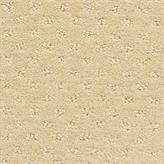 Salzburg - Luxor Swatch