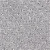 Salzburg - Printout Swatch