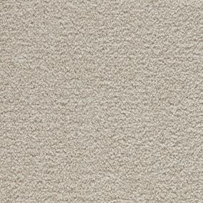 Whimbrel - Catalina Swatch