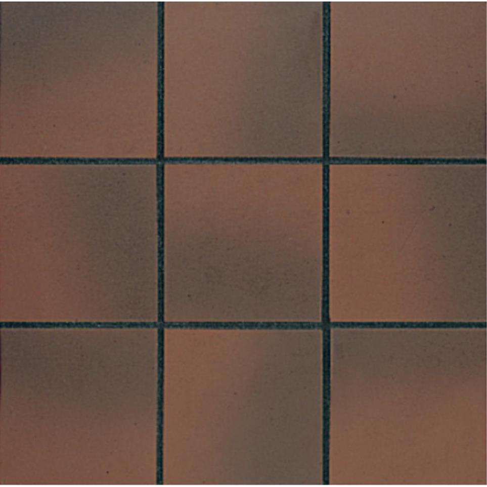 Quarry Naturals Square 8X8 Mt Grp1 by American Olean - Fire Flash Matte