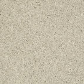 Bear - Succulent Swatch