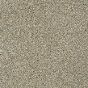 Bear - Inca Gold Swatch