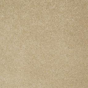 Bear - Honeycomb Swatch