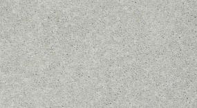 Bear - Cape Grey Swatch