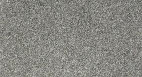 Bear - Pixie Dust Swatch