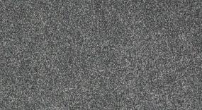 Bear - Stone Path Swatch