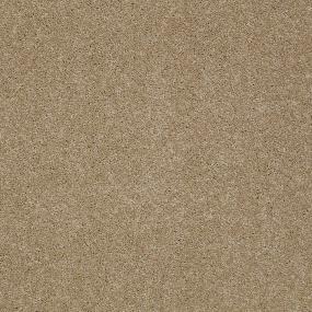 Bear - Passive Tan Swatch