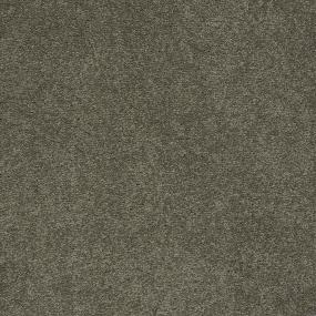 Bear - Bulldog Swatch
