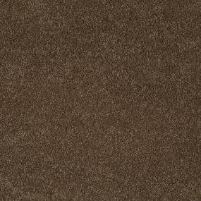Bear - Derby Brown Swatch