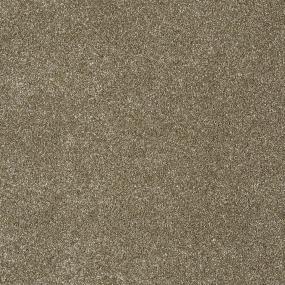 Bear - Birchwood Swatch