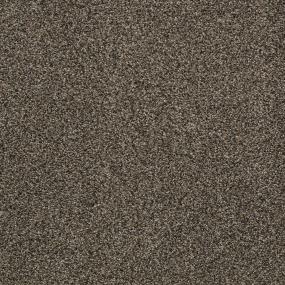 Bear - Cocoa Bean Swatch