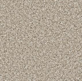 Seashells Swatch Thumbnail