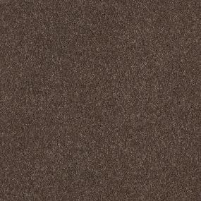Spring   Wood Swatch Thumbnail