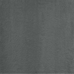 Coal Polished Swatch Thumbnail