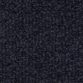 Savant - Willis Swatch