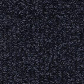 Willis Zoomed Swatch