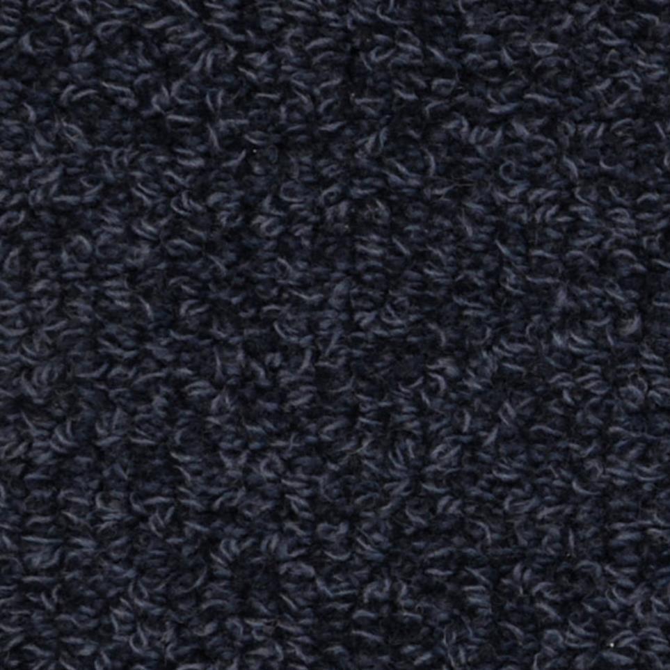 Willis Zoomed Swatch