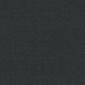 ARYA TL - Indulge Swatch