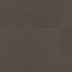 Arya TL - Inquisitive Swatch