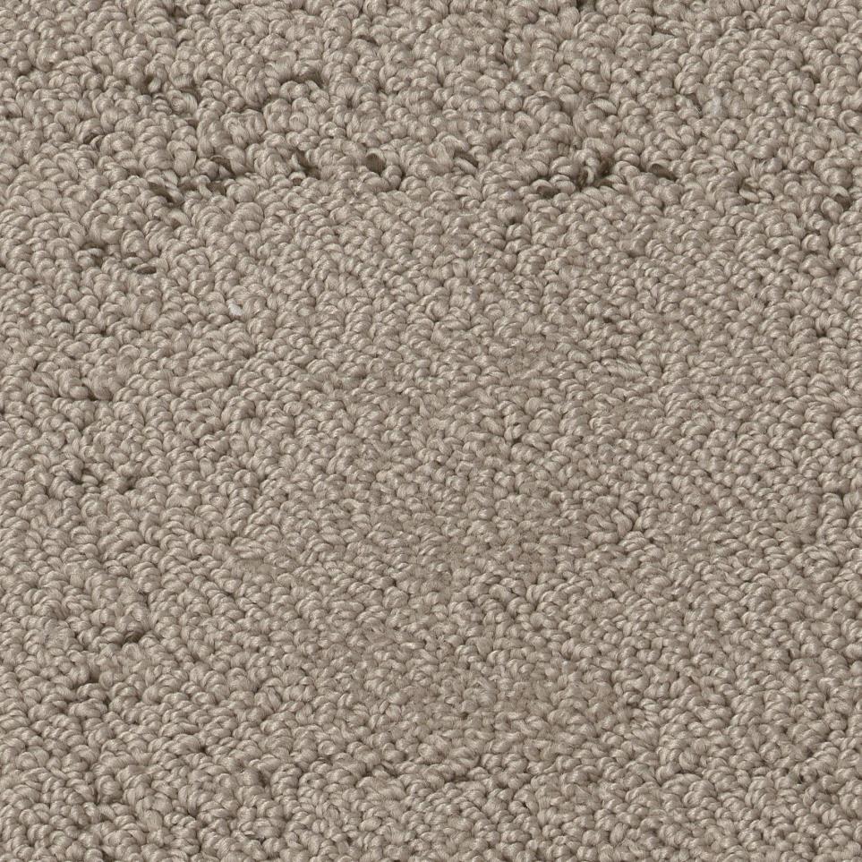 Lion Zoomed Swatch
