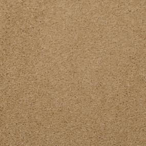 Pony Tail Swatch Thumbnail