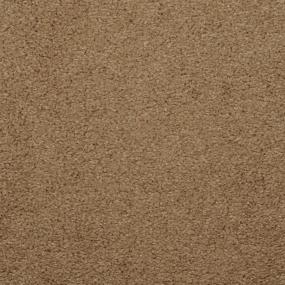 Safari Swatch Thumbnail