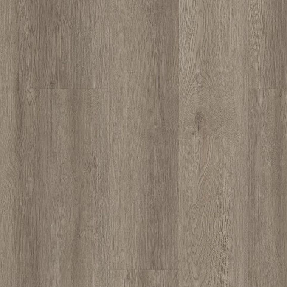 Gray Oak Zoomed Swatch