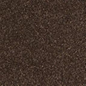 Cashmere III - Bison Swatch