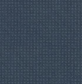 Alluring Disposition - Royal Navy Swatch