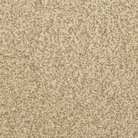 Delight - Mesa Swatch