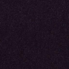Violet Zoomed Swatch