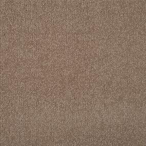 Majesty 2 - Saddle Swatch