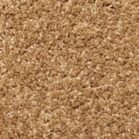 Aurora 1200 - N175 - Sandbar Swatch